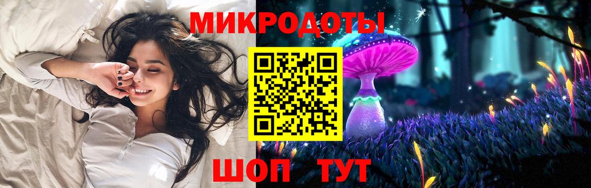 Псилоцибиновые грибы Psilocybine cubensis Чайковский